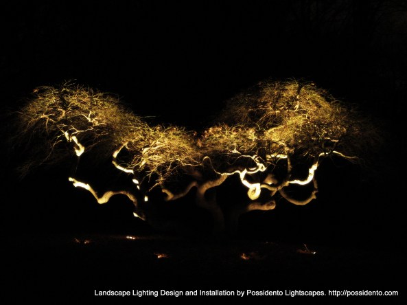 Possidento_Lightscapes_landscape_Lighting_097-002